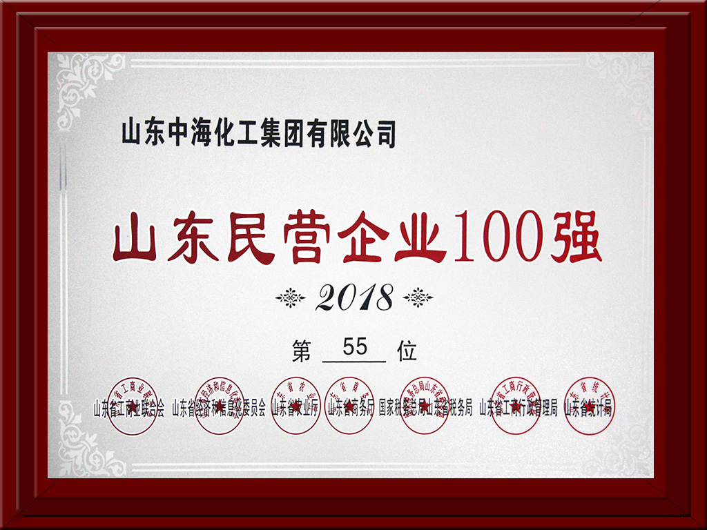 2018年山東名營企業(yè)100強(qiáng) 