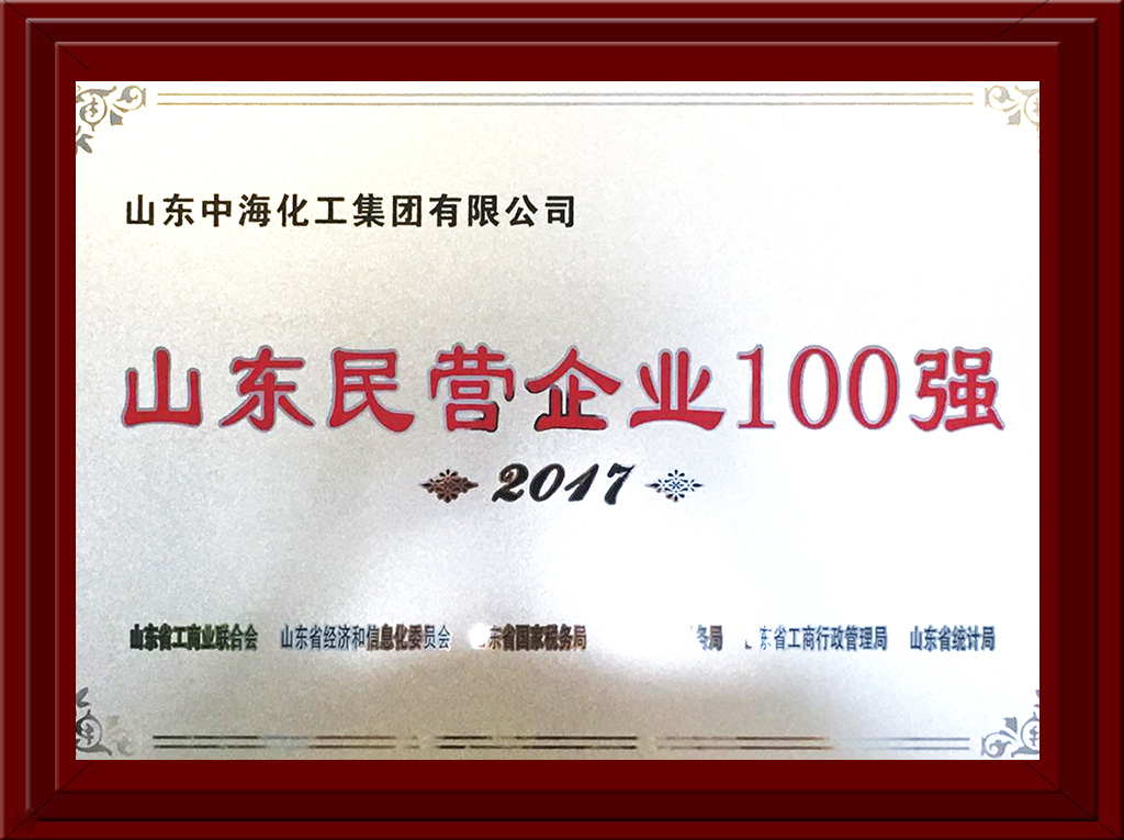 2017年民營企業(yè)100強(qiáng)