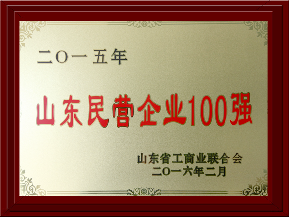 2015年民營企業(yè)100強(qiáng)