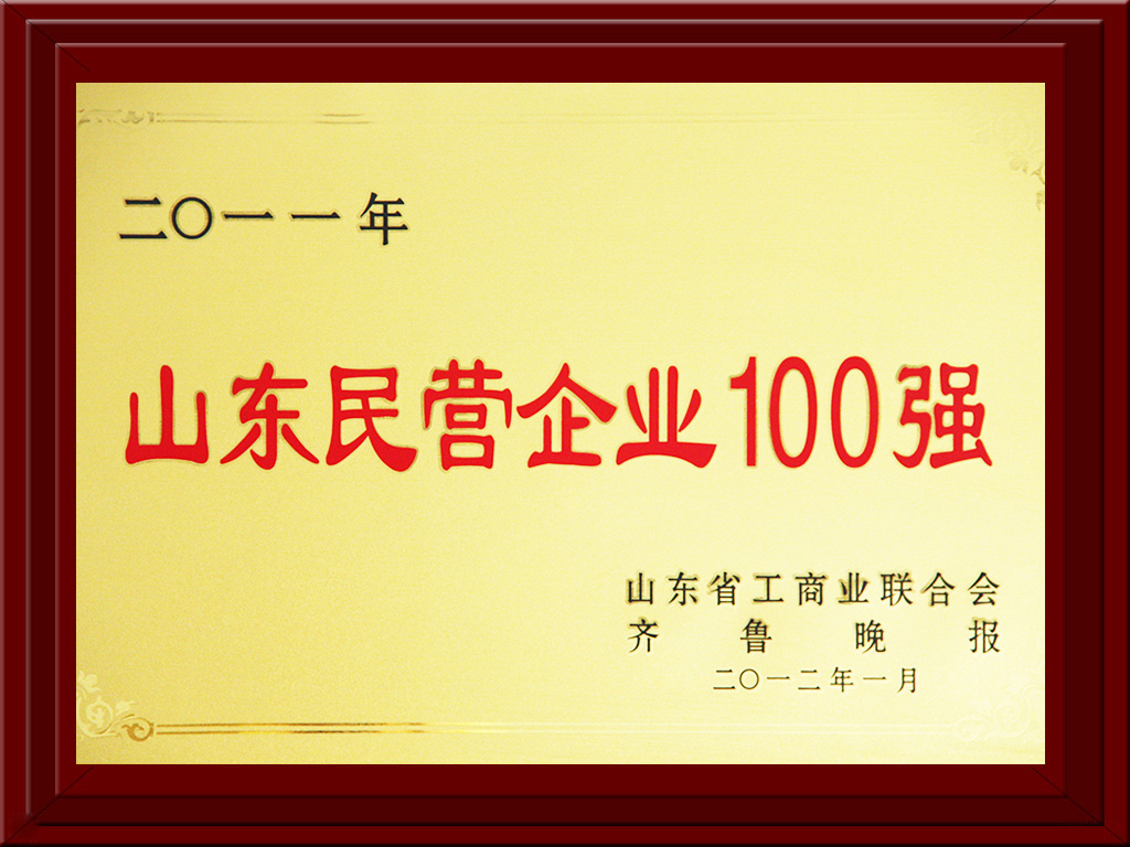 2012.01山東民營企業(yè)100強(qiáng)